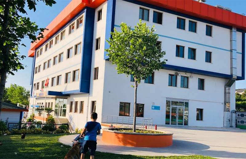 Okul ve Eğitim Yapıları